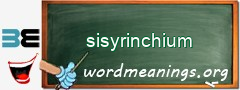 WordMeaning blackboard for sisyrinchium